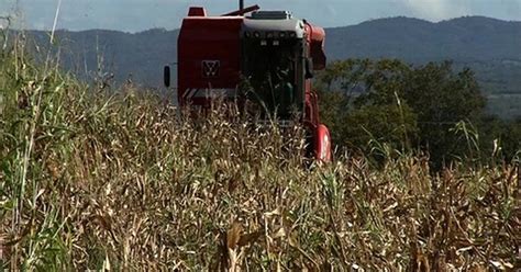 G1 Produtores rurais do CE aumentam produtividade uso de máquinas