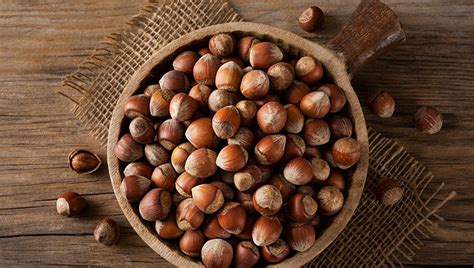 Can Dogs Eat Hazelnuts Are Hazelnuts Safe For Dogs Dogtime