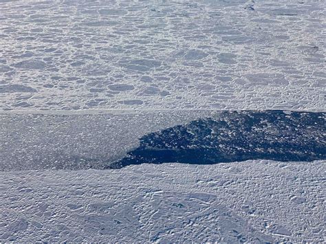 Nasa Arctic Sea Ice Is Second Lowest On Record Silive