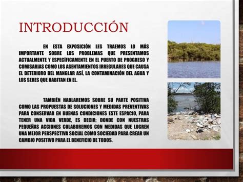 Asentamientos Irregulares En El Manglar Ppt