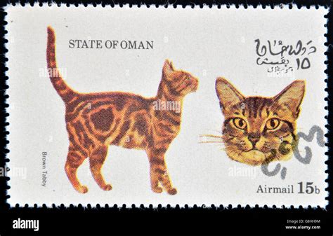 Oman Circa Stamp Printed In State Of Oman Dedicated To Cats