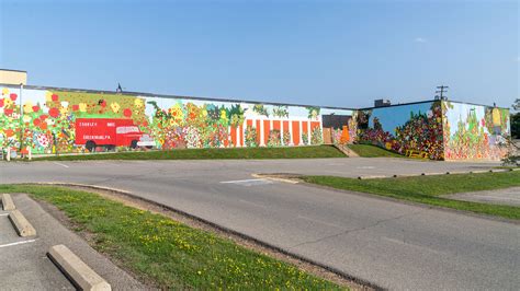 Local Artist, Daisher creates landmark mural on East Pittsburgh St. Shop N’ Save – Downtown ...