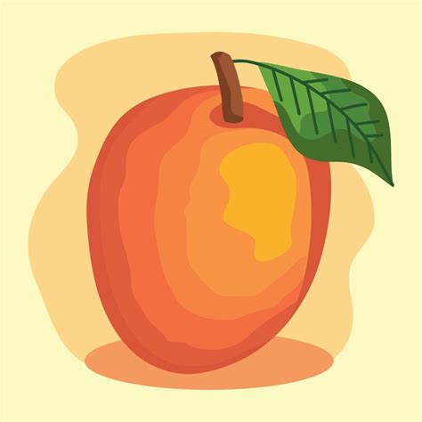 Mango Fruta Fresca Vector En Vecteezy