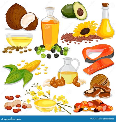 Different Sources Of Protein Food Collection Vector Illustration