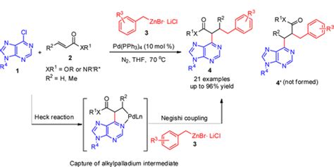 Highly Regioselective Three Component Domino Hecknegishi Coupling