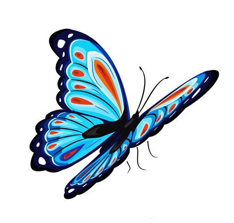 Blue And Red Butterfly Png Clipart Picture Бабочки Картинки Фон