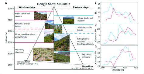 | The elevational patterns of vegetation types and taxonomic,... | Download Scientific Diagram