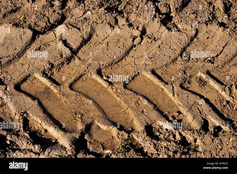 Heavy Machinery Tyre Track Impressions In Mud On Construction Site