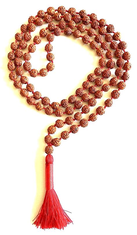 Amazon Rudraksha Mala Beads Necklace Rudraksh Japa Mala Mukhi