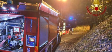 Incendio Di Un Bosco A Sessant La Stampa