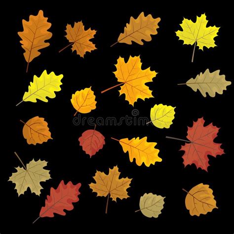 Set Of Colorful Autumn Leaves Design Elements Vector Illustration