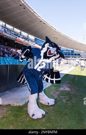 Sammy the Owl, mascot of the Rice Owls, leads the Rice football team ...