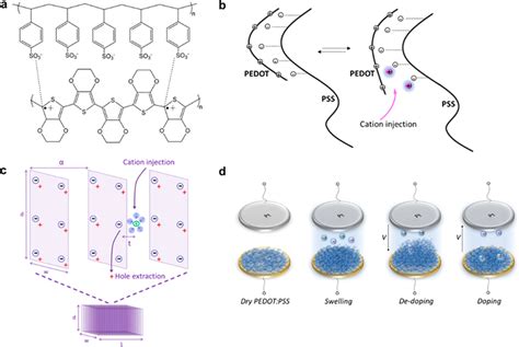 A Chemical Structure Of PEDOT PSS B Schematic Showing The Dedoping
