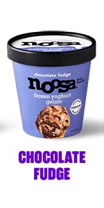 Amazon Noosa Frozen Yogurt Gelato Sea Salt Caramel Icious Fl