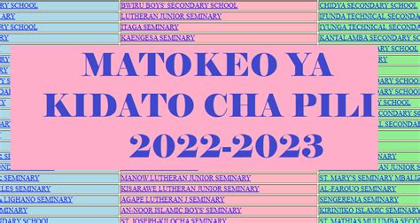 Necta Form Two Results 2022 Dar Es Salaam Matokeo Ya Kidato Cha Pili