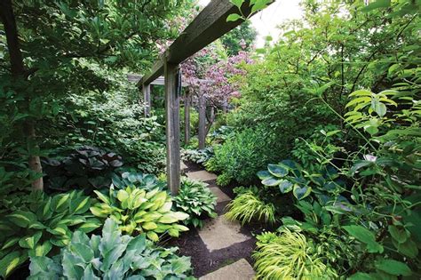 Shade Gardens: Ideas, Design & Inspiration | Garden Design