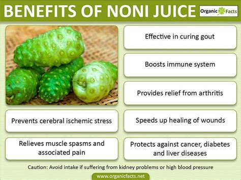 Noni Fruit