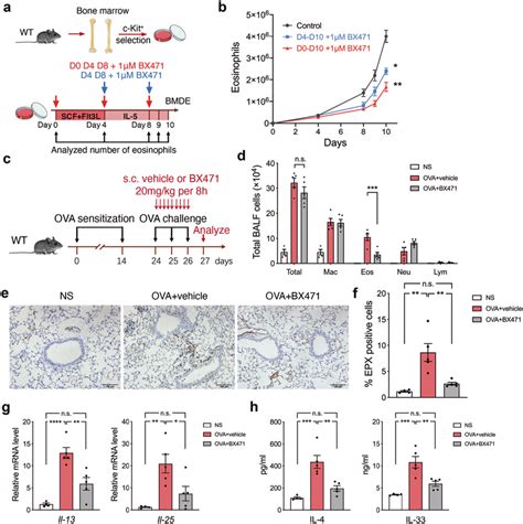 Inhibition Of Ccr1 Alleviates Ova Induced Lung Eosinophilic