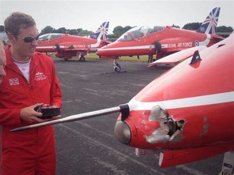 Bird Strike Raf Red Arrows Red Arrow Bird Strike