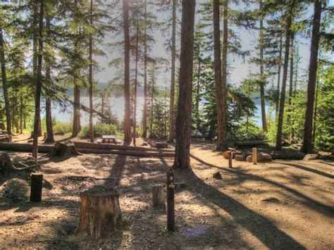 Clear Lake Campground Mt Hood Oregon