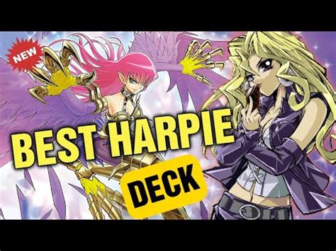 Yu Gi Oh Duel Links Best Harpie Lady Deck Yu Gi Oh Best Harpie Deck