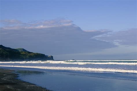 muriwai beach-1240757 | Frog Pond Farm