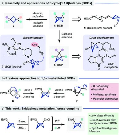 Synthesis Of Disubstituted Bicyclo Butanes Via Directed