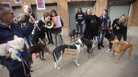 Concentracions Del Pacma Per Reclamar Incloure Els Gossos De Ca A A La