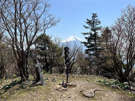 毛無山（三角点）・毛無山（最高点） M Masaさんの毛無山・雨ヶ岳・竜ヶ岳の活動日記 Yamap ヤマップ