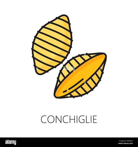 Conchiglie Pasta Uncooked Dried Italian Cuisine Food Vector Raw