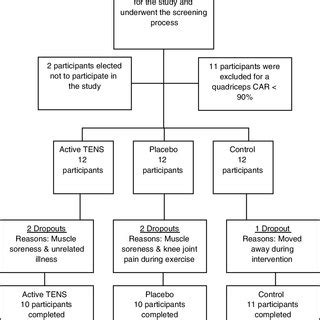 Consort Flowchart Tens Transcutaneous Electrical Nerve Stimulation