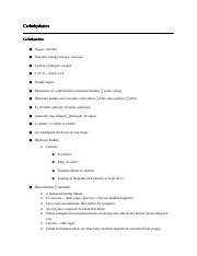 Understanding Carbohydrates: Functions, Structure, and Energy | Course Hero