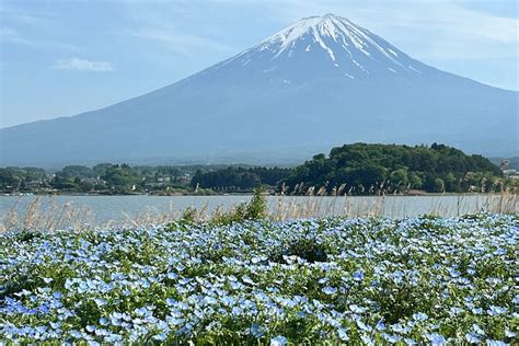 Tour Privato Di Un Intera Giornata Al Monte Fuji E Hakone