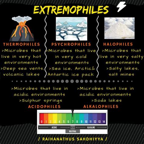 Extremophiles - infograph | PPT