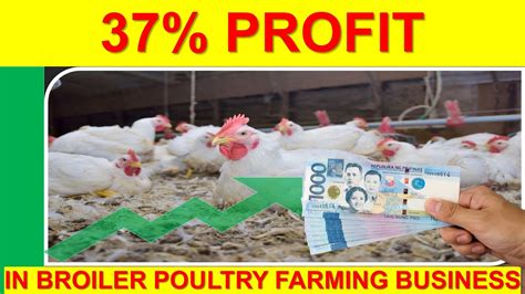 Raising Your Broilers With Feeding Guide And Return Of Investment In