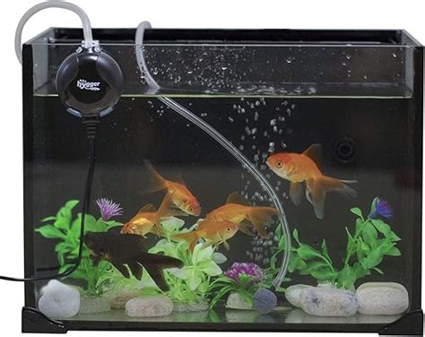 The Best Aquarium Air Pumps Of Reviews Buying Guide