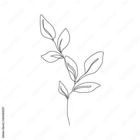 Continuous Line Drawing of Leaves Branch Black Sketch Isolated on White Background. Simple Leaf ...