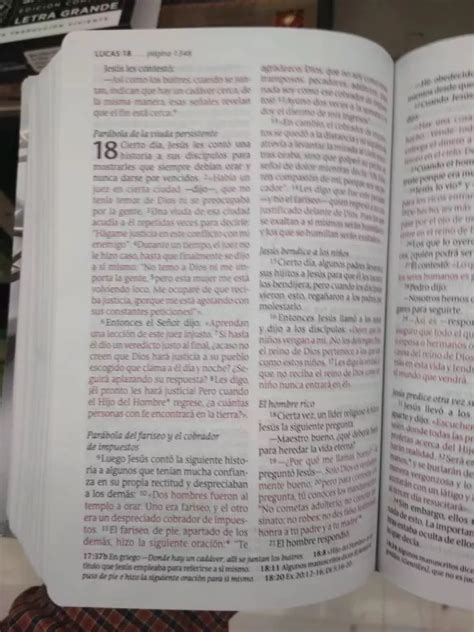 Biblia Ntv Edici N Compacta Letra Grande Apocalipsis Pez Con