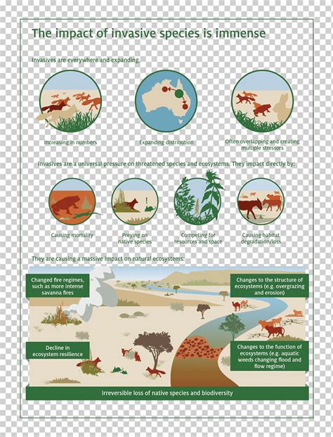 Biodiversidad Ecosistema Especies Invasoras Plaga Especies Introducidas Ambiente Natural