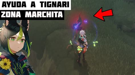 Ayuda A Tignari A Eliminar La Zona Marchita Genshin Impact Youtube