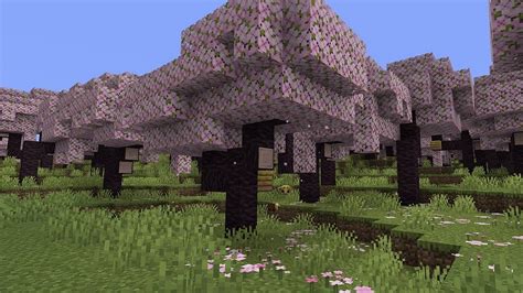 Minecraft Bekommt Arch Ologie Und Neues Kirschbl Ten Biom Mit Gro Em