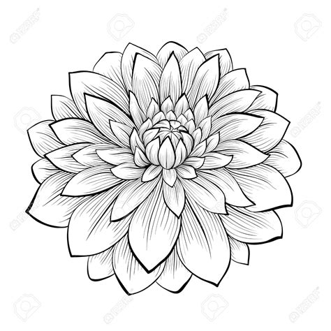 Mexican Flowers Drawing at GetDrawings | Free download