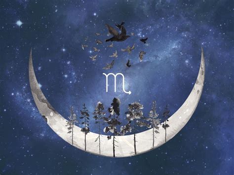 Intuitive Astrology Scorpio Super New Moon November 2020 Forever