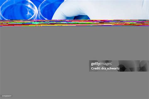 Cell Culture High-Res Stock Photo - Getty Images