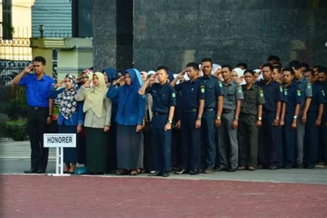 Tenaga Honorer Di Instansi Pemerintah Bisa Diangkat Jadi PPPK Asal