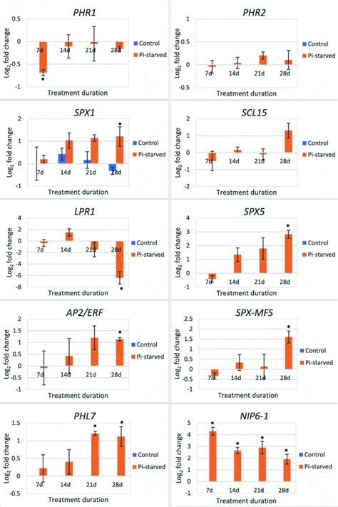 Comparative Transcriptome Analysis Reveals Novel Insights Into