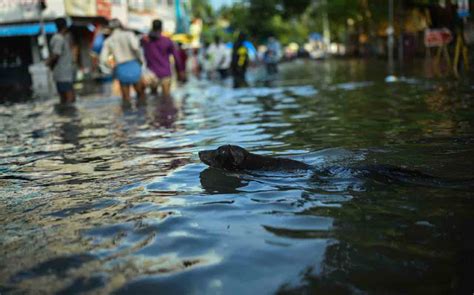 Ipcc Rapporto Sul Cambiamento Climatico Ecco Cosa Rischia Il Pianeta