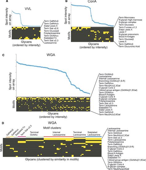 Figure From A Motif Based Analysis Of Glycan Array Data To Determine