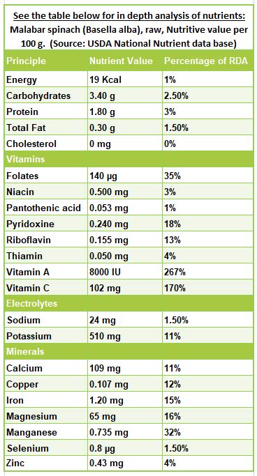 Basella Malabar Spinach Nutrition Facts And Health Benefits