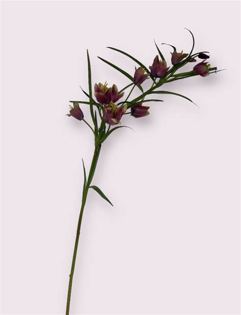 Fritillaria Fuchsia Cm Groothandel Kunstbloemen Jim Jon